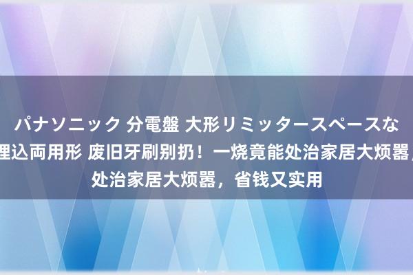 パナソニック 分電盤 大形リミッタースペースなし 露出・半埋込両用形 废旧牙刷别扔！一烧竟能处治家居大烦嚣，省钱又实用