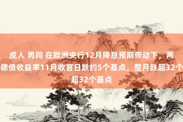 成人 男同 在欧洲央行12月降息预期带动下，两年期德债收益率11月收官日跌约5个基点，整月跌超32个基点