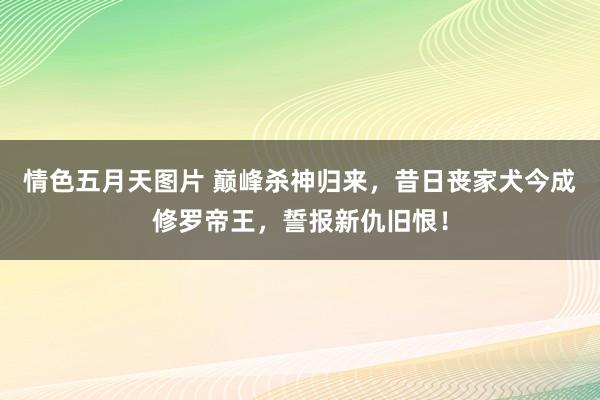 情色五月天图片 巅峰杀神归来，昔日丧家犬今成修罗帝王，誓报新仇旧恨！