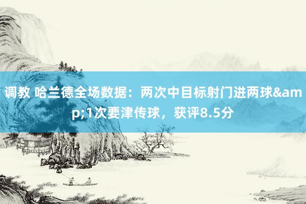 调教 哈兰德全场数据：两次中目标射门进两球&1次要津传球，获评8.5分