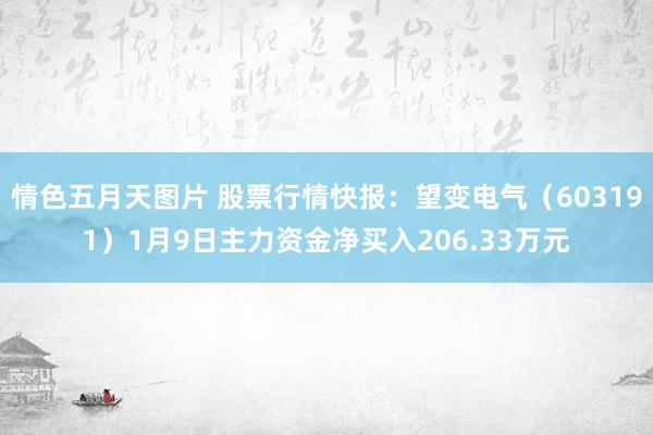 情色五月天图片 股票行情快报：望变电气（603191）1月9日主力资金净买入206.33万元